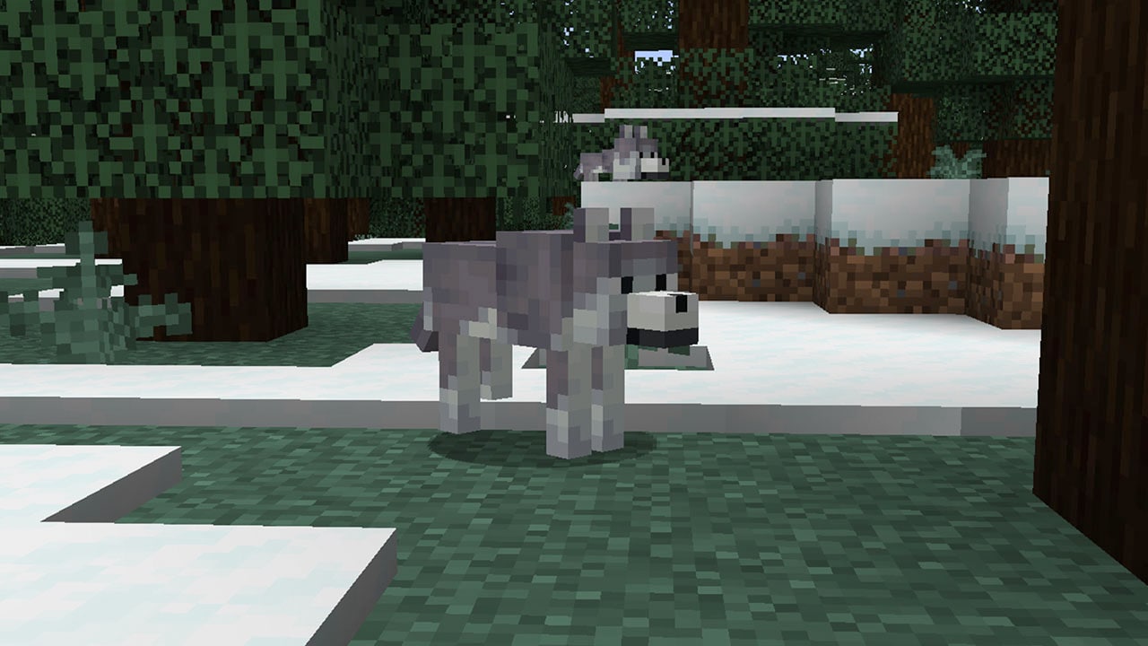 This is a screenshot of the ashen wolf This is a screenshot of the ashen wolf