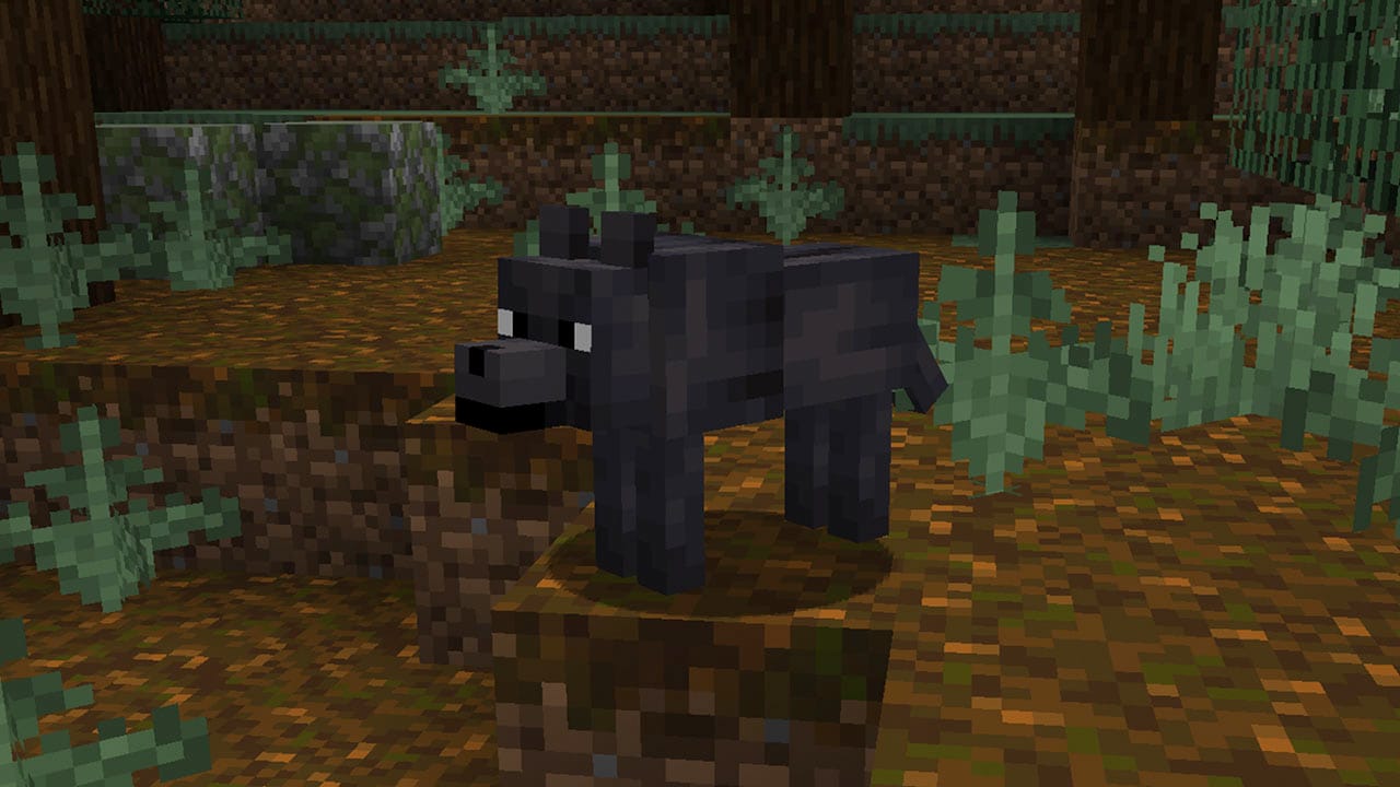 The black wolf is one of the new wolf variations coming to testing in Minecraft! The black wolf is one of the new wolf variations coming to testing in Minecraft!