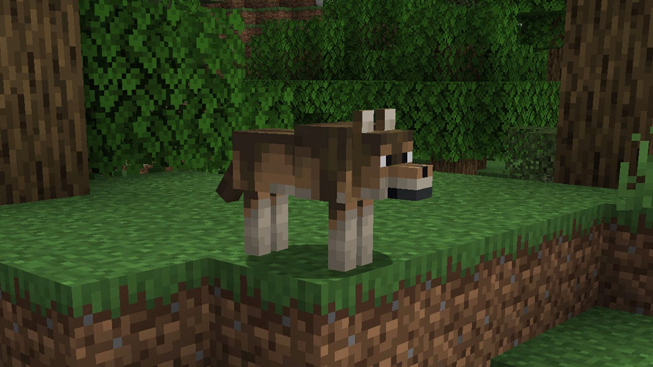 The woods wolf is one of eight new wolf variations coming to testing in Minecraft!